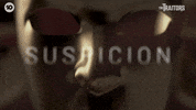 Suspicion GIF by The Traitors Australia
