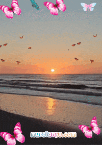 Perder Te Amo GIF by Murcianys LLC