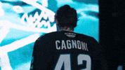 San Jose Celebration GIF by San Jose Barracuda