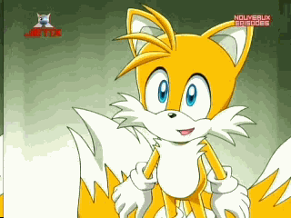 miles tails prower GIF