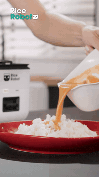 Close It, Click It, Cook It | Rice Robot