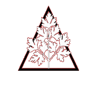 sauloft candeias diferencial Sticker