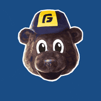 georgefoxuniversity bear sunglasses mascot university GIF