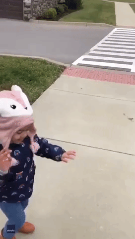 Little Girl is Very Excited to Cross 'Pedestrian Walkway' in Louisville