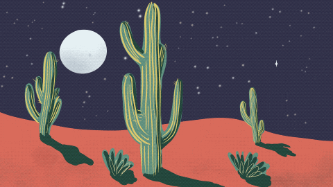 Lizard84 giphyupload cactus desert full moon GIF