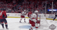 Ice Hockey Hug GIF by NHL
