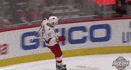 Ice Hockey Hug GIF by NHL