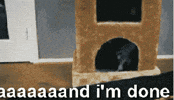 people reverse GIF