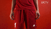 champions league lfc GIF by Liverpool FC
