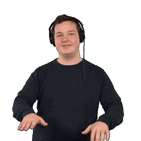 Dj Disc-Jockey Sticker by Plieger