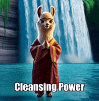 Kindness Waterfall GIF by dalaillamazen