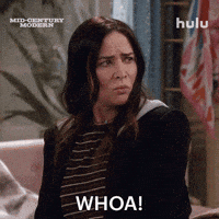 Are You Serious Pamela Adlon GIF by HULU