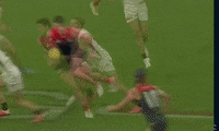 Carlton Blues Afl GIF by Carlton Football Club
