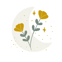designonthemoon flower night flowers moon Sticker