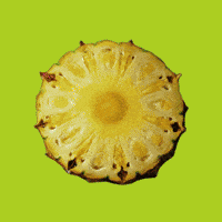 Summer Comida GIF