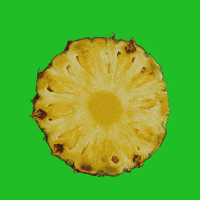 Summer Comida GIF