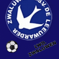 LeeuwarderZwaluwen soccer leeuwarden zwaluwen GIF