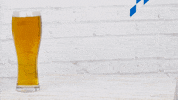 Oktoberfest Beers GIF by evite
