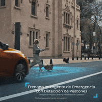 Nissan Sentra GIF by Nissan México