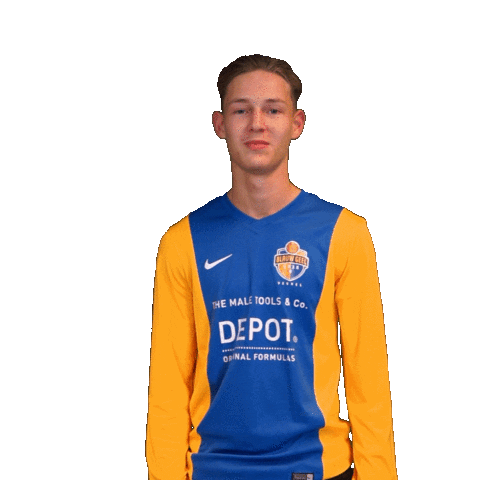 blauwgeel giphyupload football voetbal veghel Sticker