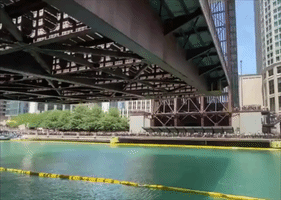 Thousands of Rubber Ducks Dropped Into Chicago River for Fundraiser