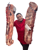 Party Meat Sticker by paolopirascom