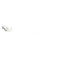 Cheerleading Sticker by Join New Spirit AllStars