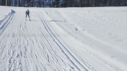 skiing dartmouthgif GIF by Dartmouth College