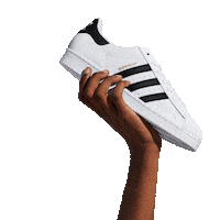 Superstar Sticker by adidas Brasil