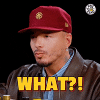 Excuse Me What GIF by First We Feast