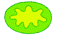 Bacteria Petri Dish Sticker by jadecsmith