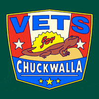 Camping Climate Change GIF by INTO ACTION