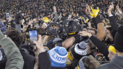 hawks GIF by University of Iowa Hawkeyes Athletics