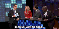 jimmy fallon GIF by The Tonight Show Starring Jimmy Fallon