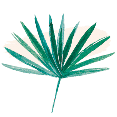 coco bali Sticker by Camille Florès