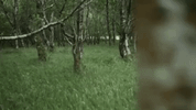 GIF by EDEN