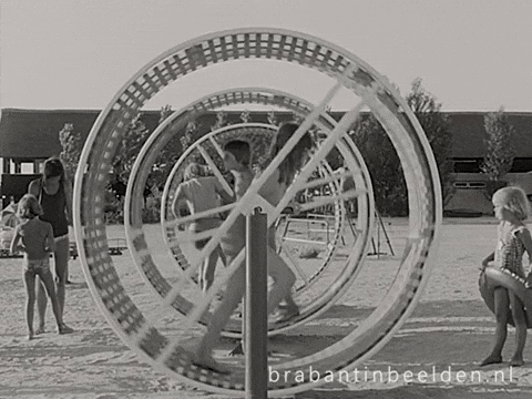 Summer Beach GIF by BrabantinBeelden