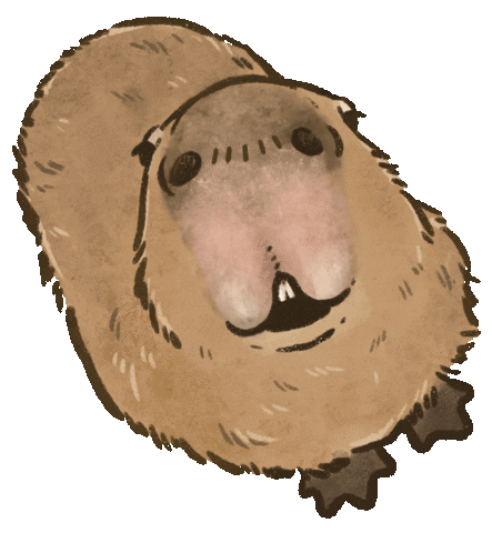Rodent Capybara Sticker