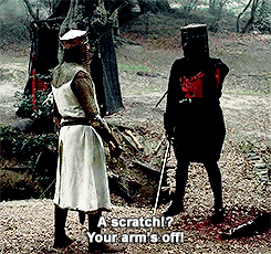 monty python and the holy grail GIF