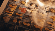 chenayder off the wall chenayder GIF