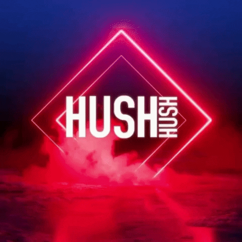 Spinner GIF by HUSH HUSH