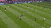 simon terodde football GIF by 1. FC Köln
