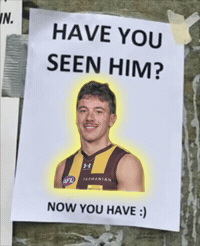 Afl Hawks GIF