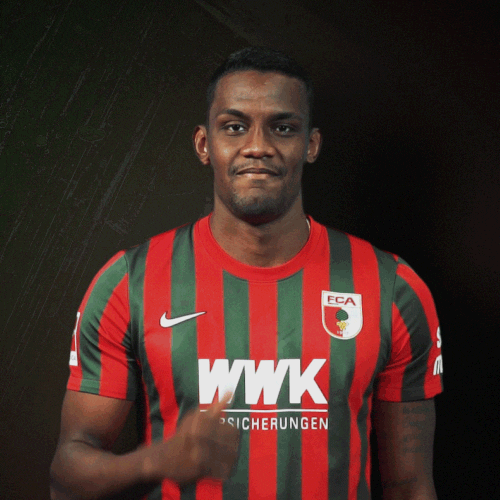 La Pantera Bundesliga GIF by FC Augsburg 1907