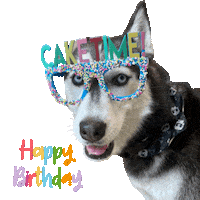 Happybirthday Sticker