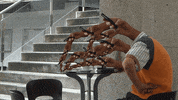 submission GIF by The Savannah .GIF Festival