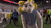 Lets Go Football GIF by UNC Tar Heels