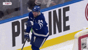 Happy National Hockey League GIF by NHL
