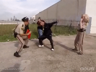 reno 911 GIF
