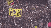 Hong Kong Protests GIF by GIPHY News